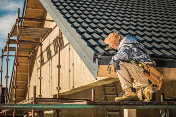 Best Skylight Installation and Repair  in Bushnell, IL