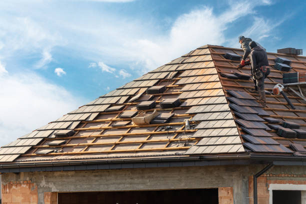 Best Roof Leak Repair  in Bushnell, IL